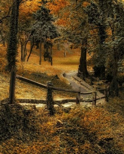 Aesthetically Pleasing Beautiful Nature Country Roads Scenery