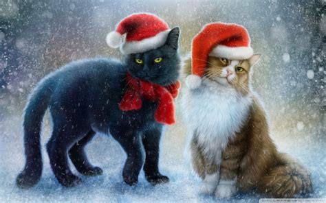 Black Cat Christmas Wallpaper 55 Images