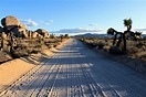Stay in the best homes in Yucca Valley, CA, U.S. | Plum Guide