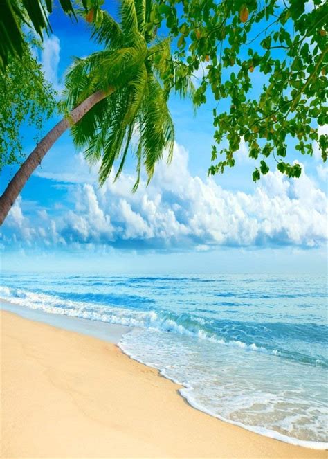 Abphoto Polyester 5x7ft Beach Photo Backdrop Seaside Blue Sky White