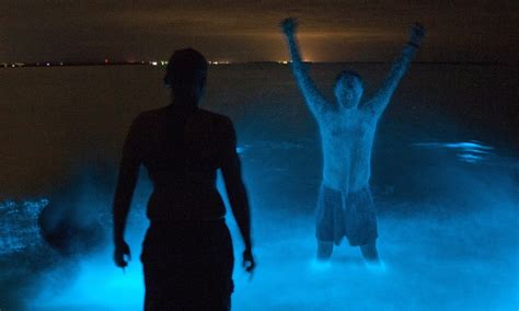Australian Lake Bioluminescence Makes Swimmers Glow In Dark Daily