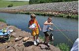 Arkansas Game And Fish Fishing License Photos