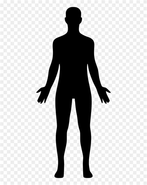Png File Svg Human Body Silhouette Png Transparent Png 428x980