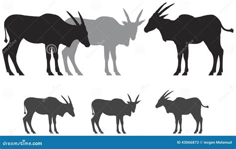 Eland Cartoons Illustrations And Vector Stock Images 167 Pictures To