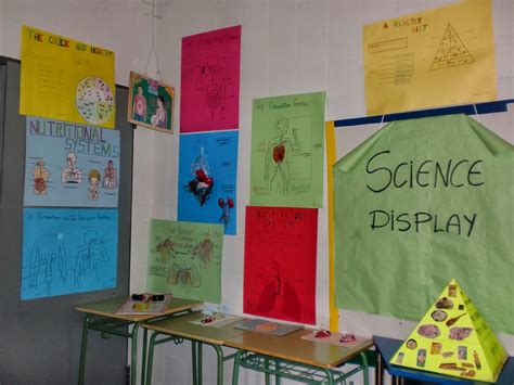 Science History And Geography Year 5 And 6 Science Display Units 1 And 2