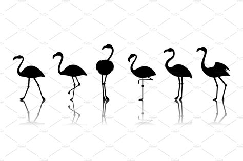 Black Vector Flamingo Silhouettes Vector Graphics ~ Creative Market