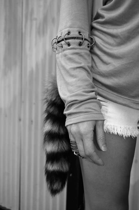 Fox Tails On Tumblr