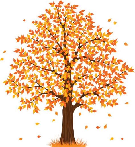 Autumn Tree Illustrations Royalty Free Vector Graphics And Clip Art Istock