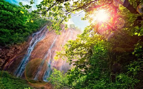 Forest Waterfall Sunlight Nature Landscape Trees Branch Lens
