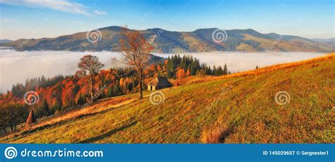 Autumn Morning Foggy Sunrise In The Carpathian Mountains Stock Image