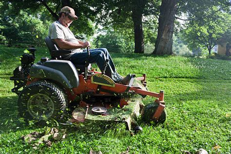 Royalty Free Lawn Mower Pictures Images And Stock Photos Istock