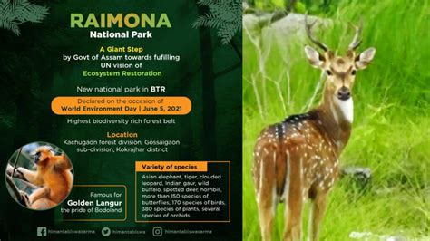 Assam govt names Raimona reserve forest sixth national park అసస