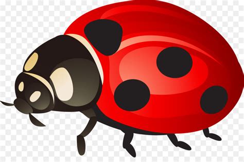 Ladybird Insect Clip Art Ladybug Png Download 800533 Free