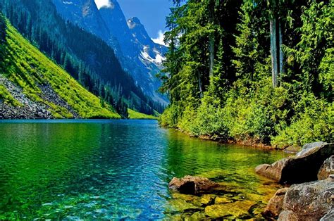 Free Download Green Water On A Wonderful Green Nature Hd Wallpaper