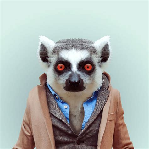 Hilarious Zoo Portraits By Yago Partal Bored Panda