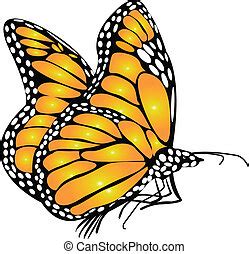 Árbol mariposa monarca. Un árbol de mariposa monarca de color. | CanStock
