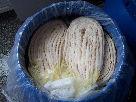 Tubed Salted Hog Casing China Price Supplier Food