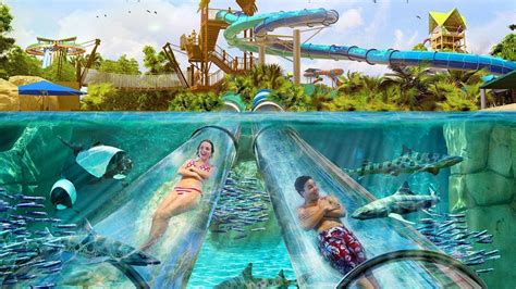 Aquatica Orlando 🐬 2023 Discount Tickets And Reviews