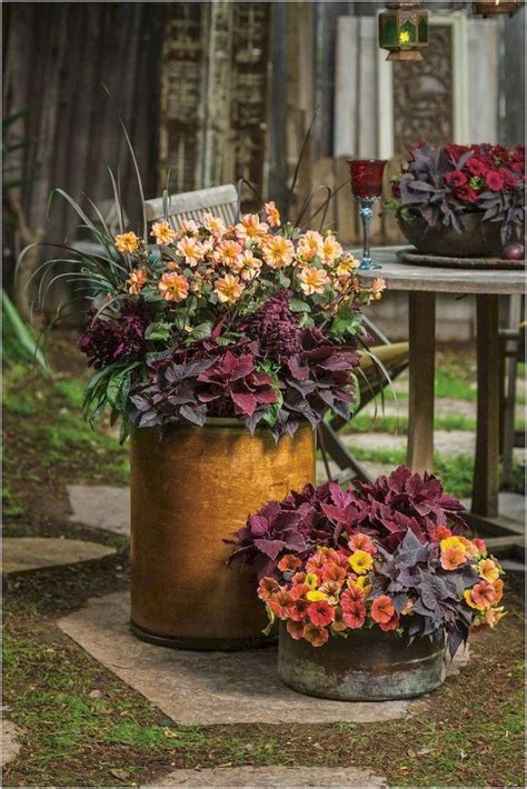 Adorable 50 Fresh And Beautiful Container Garden Flowers Ideas