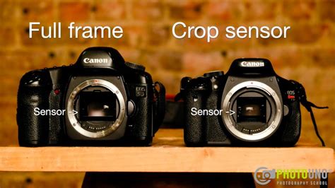Didalam sebuah video juga di kenal. Full Frame vs. Crop Sensor - Part I: Sensors - YouTube