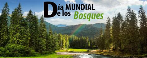 Día Mundial De Los Bosques 21 De Marzo