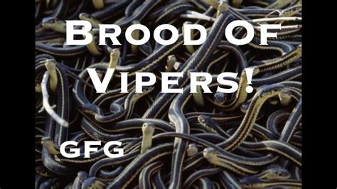 Brood Of Vipers Youtube