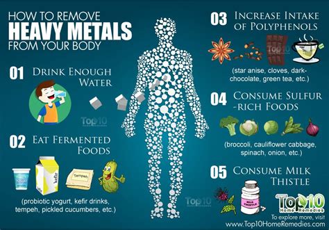 How To Remove Heavy Metals From Your Body Top 10 Home Remedies