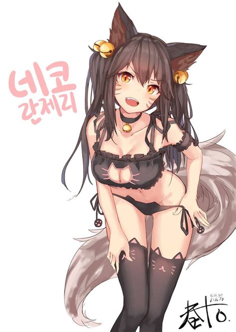 35 Best Images About Sexy Anime Neko Girls On Pinterest