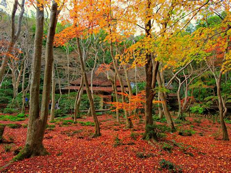 10 Best Autumn Leaves Spots In Kyoto Japan Web Magazine