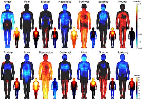 [pdf] bodily maps of emotions are culturally universal semantic scholar