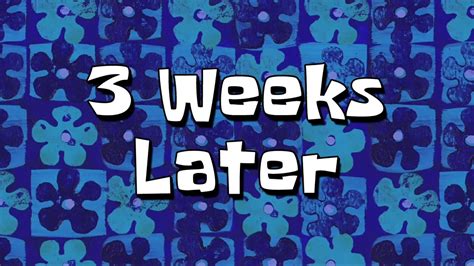 3 Weeks Later Spongebob Time Cards Youtube