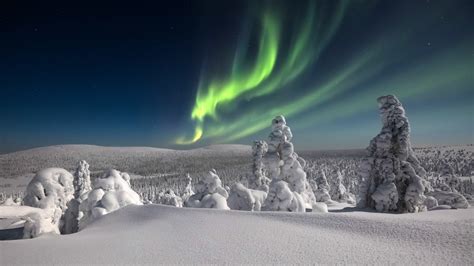 Aurora Borealis Trees Snow Finland Hd Wallpaper Rare Gallery
