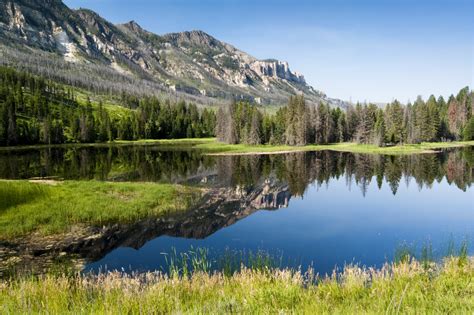 Shoshone National Forest Is Your Less Crowded Alternative To Yellowstone