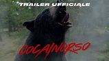 Cocainorso | Trailer Ufficiale (Universal Pictures) HD - YouTube
