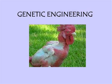 Ppt Genetic Engineering Powerpoint Presentation Free Download Id