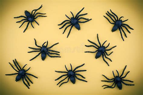 Scary Halloween Background Spiders Pattern Stock Image Image Of