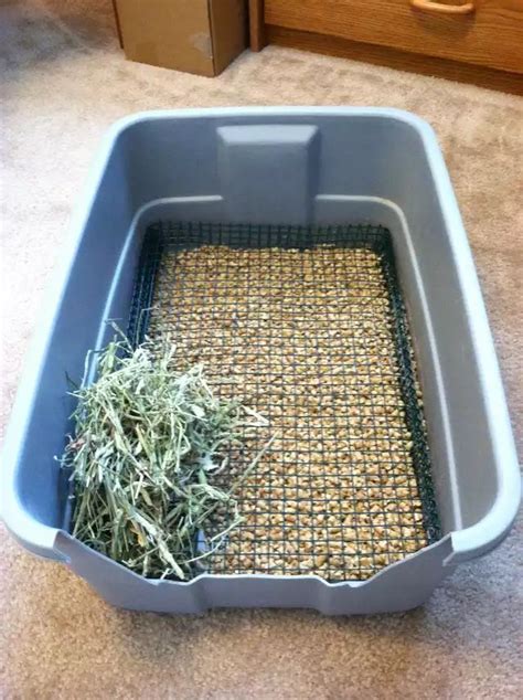 Litter Box Rabbit Litter Box Rabbit Litter Pet Rabbit