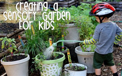Children Sensory Garden For Kids Watters Garden Center