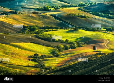 Tuscany Rolling Hills On Misty Sunset Rural Landscape Green Fields