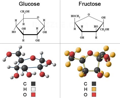 Understanding The Key Differences Between Glucose And Fructose