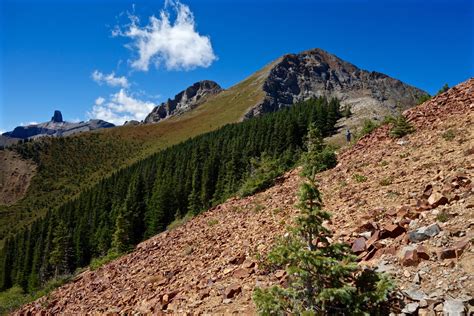 Earthline The American West Ophirs Sunshine Mountain 12930