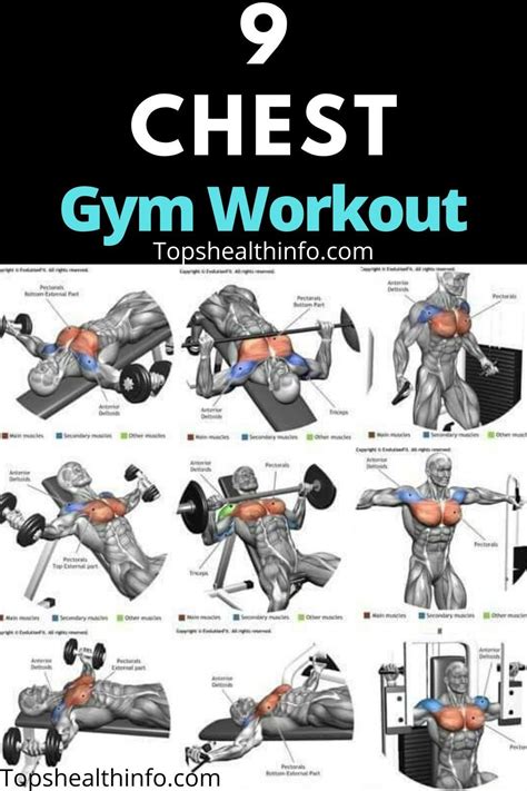 9 Chest Gym Workout Plyometric Workout Chest Workouts Gym Workouts