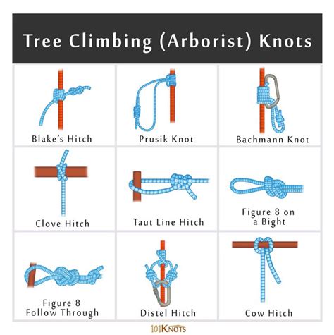 Rock And Tree Climbing Knots Basic Guide With List Climbing Knots
