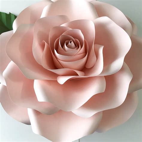 Giant Rose Paper Flower Template 187 Svg File For Cricut