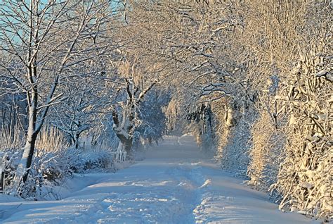 Kostenloses Foto Winter Winterlandschaft Schnee Kostenloses Bild