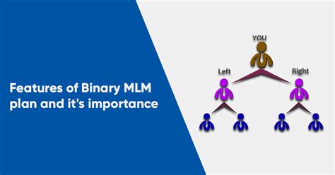 Features Of Binary Mlm Plan And Its Importance Volochain