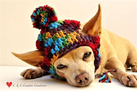 Folklore Dog Hat By Cccreativecreations On Etsy 1200 Crochet Dog