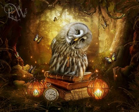 Owl Art Print Fantasy Owl Poster Woodland Owl Wall Art Cute Etsy