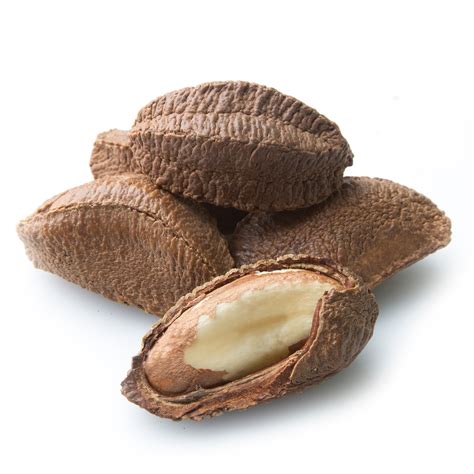 Brazil Nuts In Shell Bulk Brazil Nuts Bulk Nuts And Seeds Oh Nuts