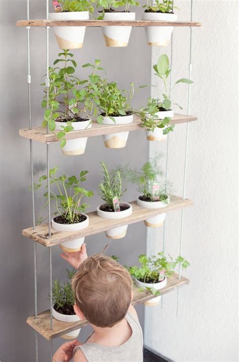 Apartment Herb Garden Kit Indoor Large Size Planter Ideas
